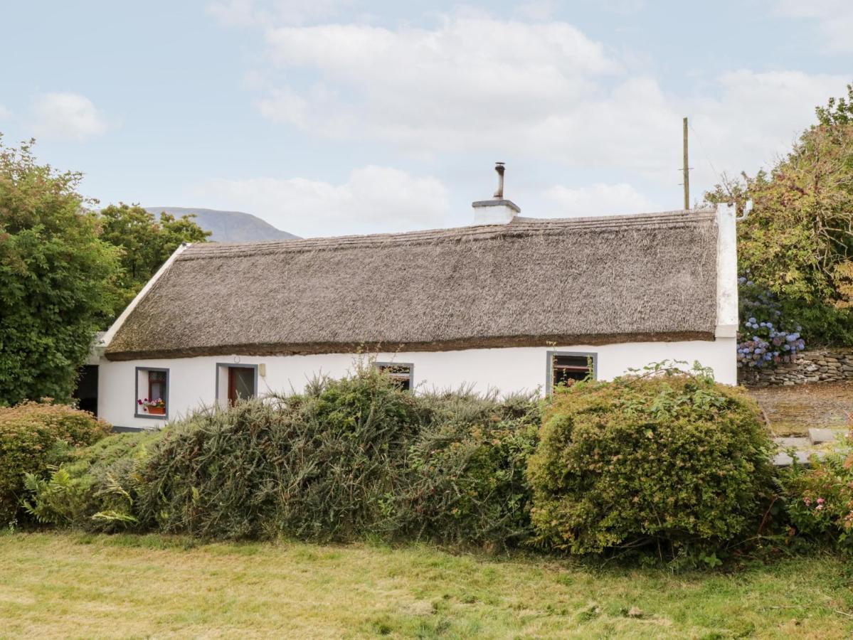 The Thatched Cottage Liscarney Eksteriør billede